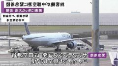 海运拼箱价格-美联航飞东京航班因大雨改降机场 燃油不足紧急降落